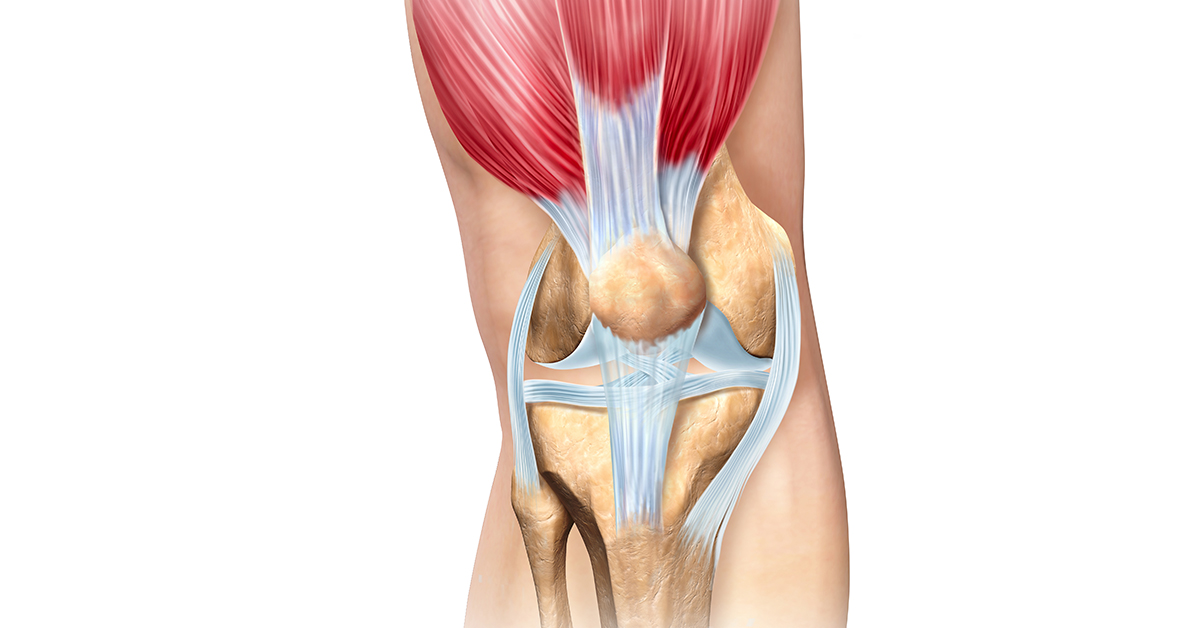 Arthroscopy of the Knee and Related Injuries