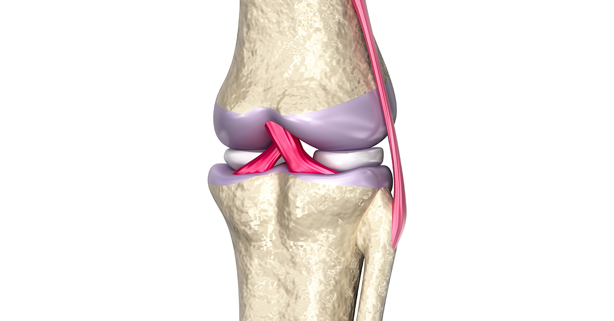 Cartilage Repair