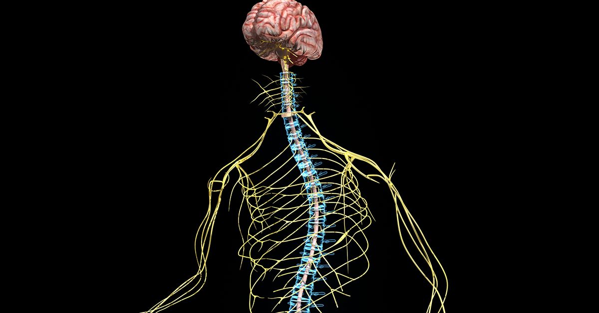 September Is National Spinal Cord Injury Awareness Month | Microspine PLC